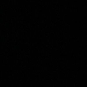 Meet your Posher, Donger